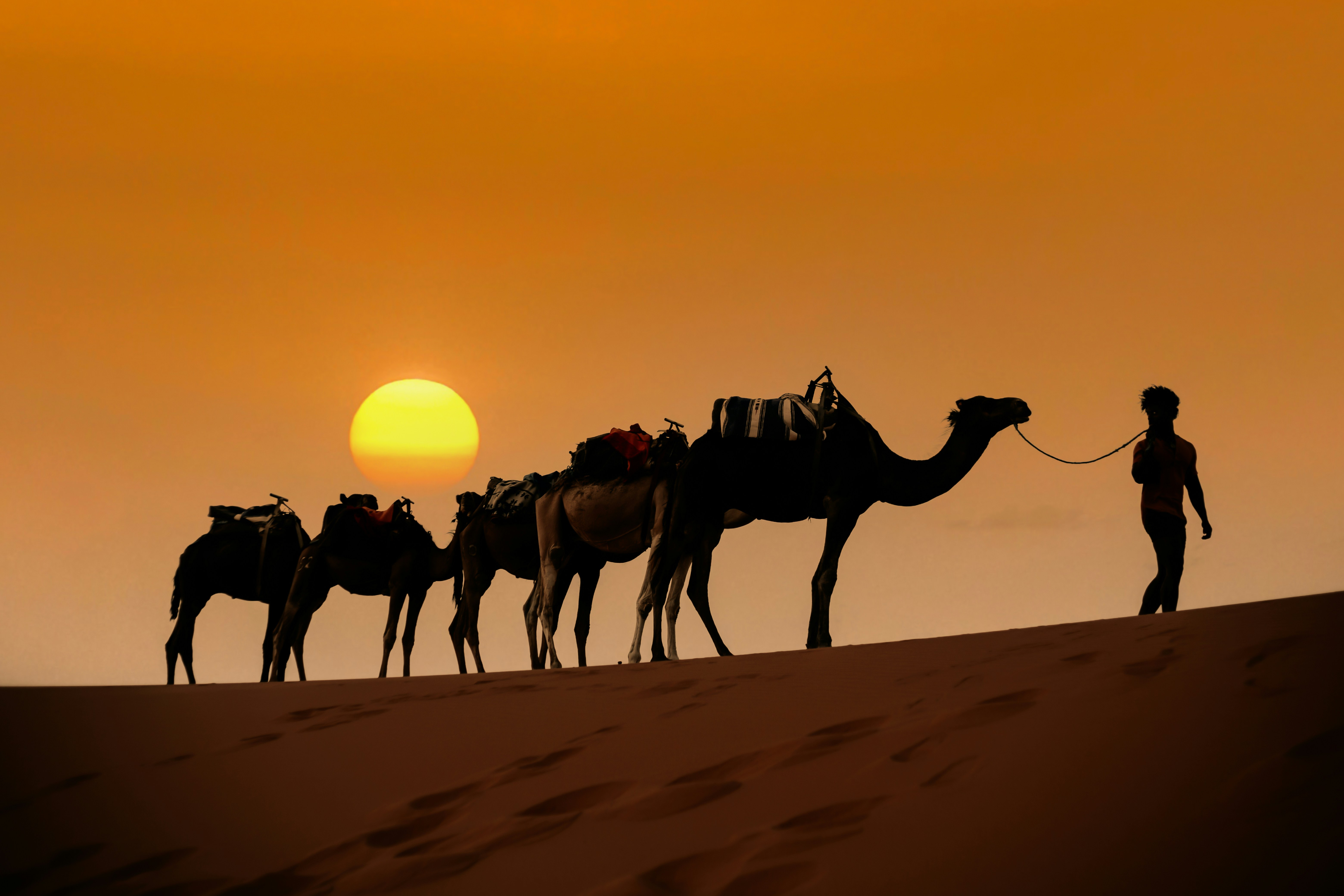 Sahara Merzouga